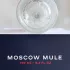 Juliette Has a Gun Moscow Mule pic-33962