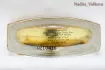 Wen Summer Mango Coconut pic-70009