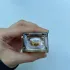 Nuxe Prodigieux Le Parfum pic-72446