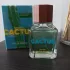 Benetton United Dreams Green Cactus pic-75022