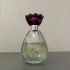 Mary Kay Enchanted Wish