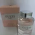 Guess 1981