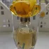 Guess Guess Girl Summer pic-376961