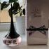Oriflame Love Potion Secrets