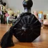 Oriflame Midnight Pearl