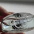 Oriflame Lucia Bright Aura pic-374047