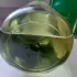 Новая Заря Eau Jeune (О`Жен) pic-124514