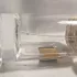 Boucheron Santal de Kandy pic-94494