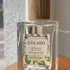 Colabo Green pic-364952
