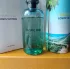 Louis Vuitton Pacific Chill
