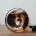Louis Vuitton Attrape-Reves pic-186498