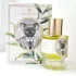 Zoologist Perfumes Koala Joey Edition