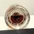 Zoologist Perfumes Tyrannosaurus Rex pic-356955