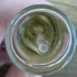Initio Parfums Prives Side Effect pic-318437
