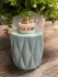 Miu Miu Eau de Parfum