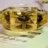Francesca dell Oro Vanille 08:00 pic-38178