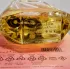 Francesca dell Oro Vanille 12:00 pic-79308