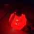 Fabien Marche Boheme de Rouge