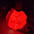 Fabien Marche Boheme de Rouge