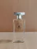 Violet (Veolay) Tanagra pic-174102