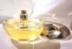 DKNY Golden Delicious pic-217300