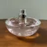 DKNY Be Delicious Fresh Blossom pic-63687