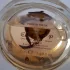 Hotel Chocolat Bois Nef pic-36049