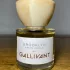 Gallivant Brooklyn pic-27875