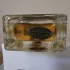Fragrance World Jack pic-141418