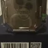 Fragrance World French Avenue Azzure Aoud pic-202699