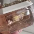 Fragrance World French Avenue Veneno Bianco