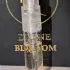 Haute Fragrance Company Divine Blossom pic-104165