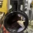 Haute Fragrance Company Devil`s Intrigue