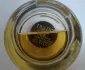 Cire Trudon Bruma pic-29