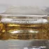 Accendis Aclus pic-13289