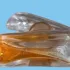 Parfums J`ai Ose J`ai Ose