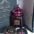 Matin Martin Lady Roza pic-142362