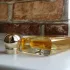 Arabian Wind Dark Santal pic-368785
