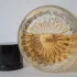 Astier de Villatte Orange Amere Splash pic-357674