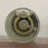 Contes de Parfums Hydra pic-226730