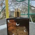 Memo Moon Fever pic-236981