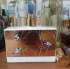 Memo Eau de Memo pic-371774