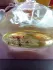 Rance 1795 Josephine pic-24405