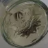 Fragonard Diamant pic-3668