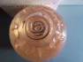 Avon Incandessence Lotus pic-156047