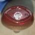Avon Mesmerize Red
