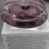Avon Viva la Vita pic-47891