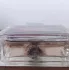 Avon Viva la Vita pic-56166