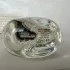 Yardley Luxe Gardenia