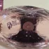 Jeanne Arthes Guipure & Silk Rose pic-15149